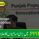 Latest Jobs in Punjab Population Innovation Fund (PPIF) 2024