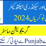 48 Vacancies Primary And Secondary Healthcare Jobs 2024